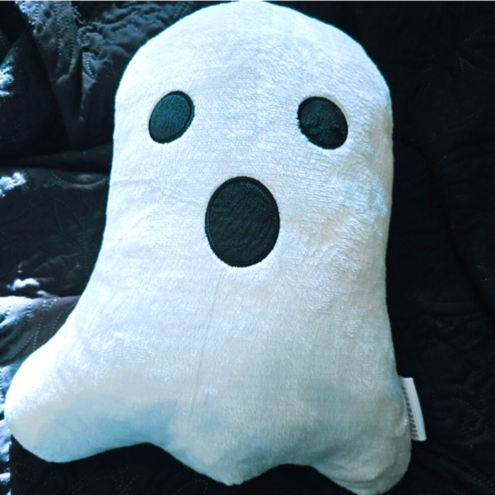 Nwot Viral Homesense Ghost-Themed  Throw Blanket & 👻 Ghost Pillow